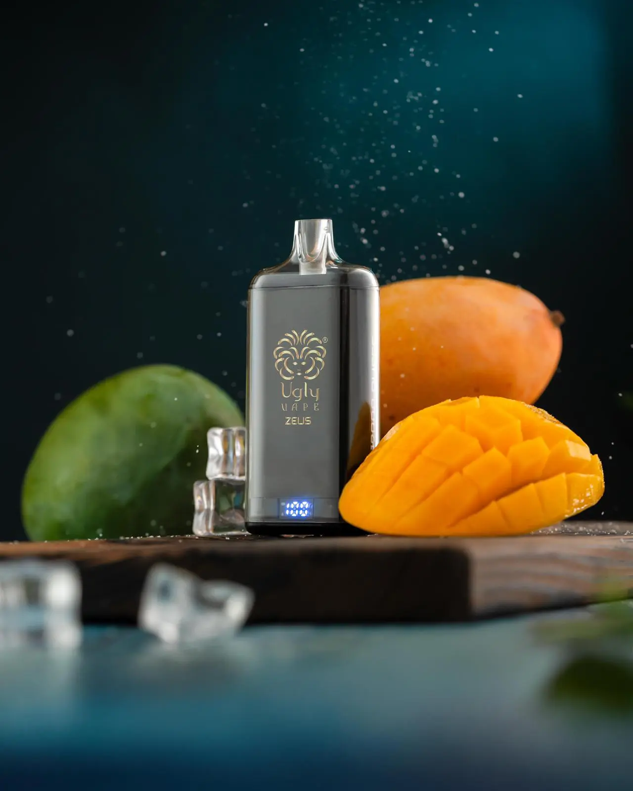 WhatsApp Image 2026-03-05 at 12.12.45 PM (2)