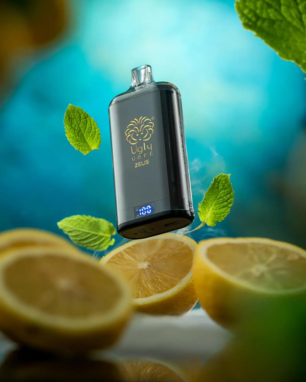 WhatsApp Image 2026-03-05 at 12.12.46 PM (1)