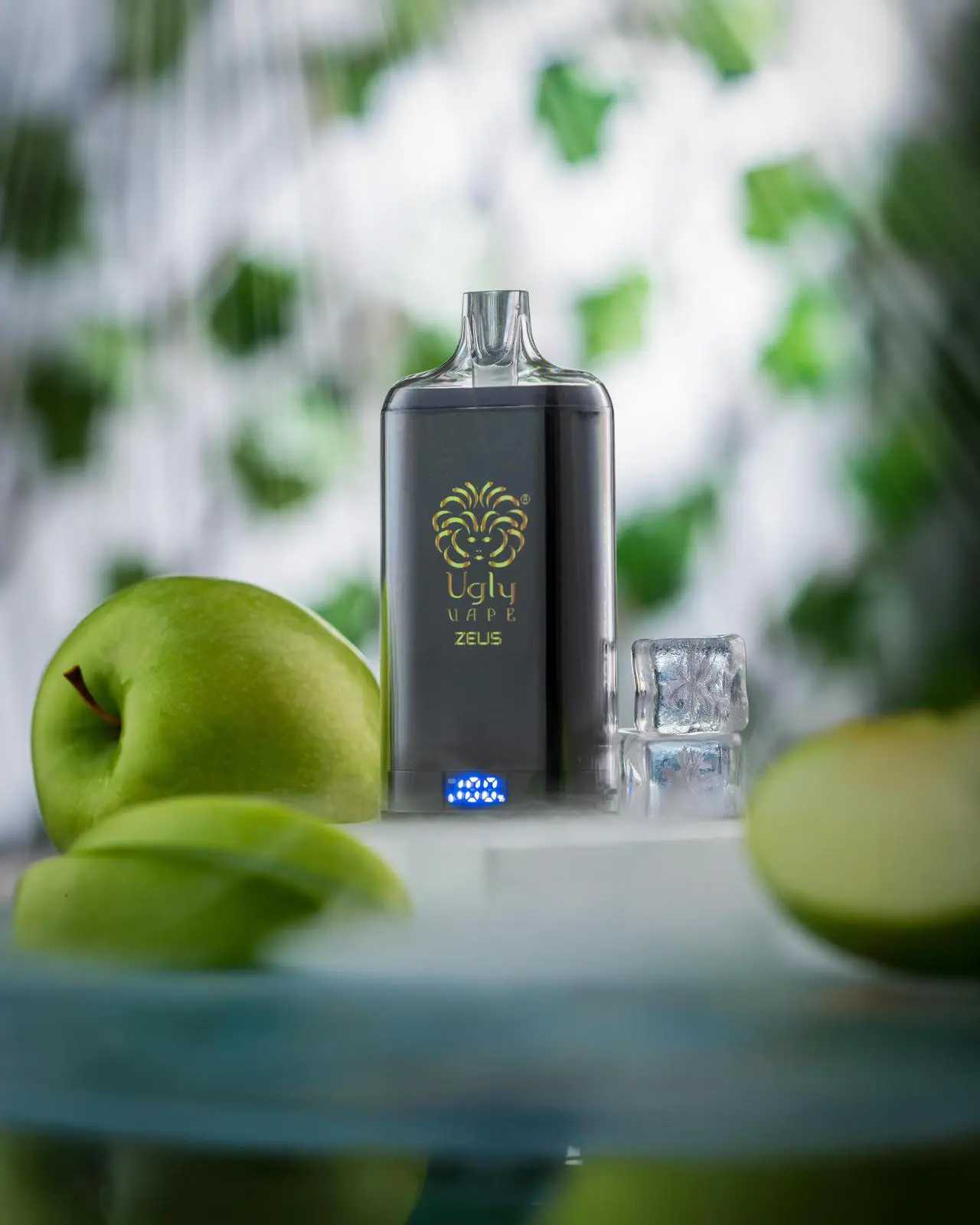 WhatsApp Image 2026-03-05 at 12.12.48 PM (1)