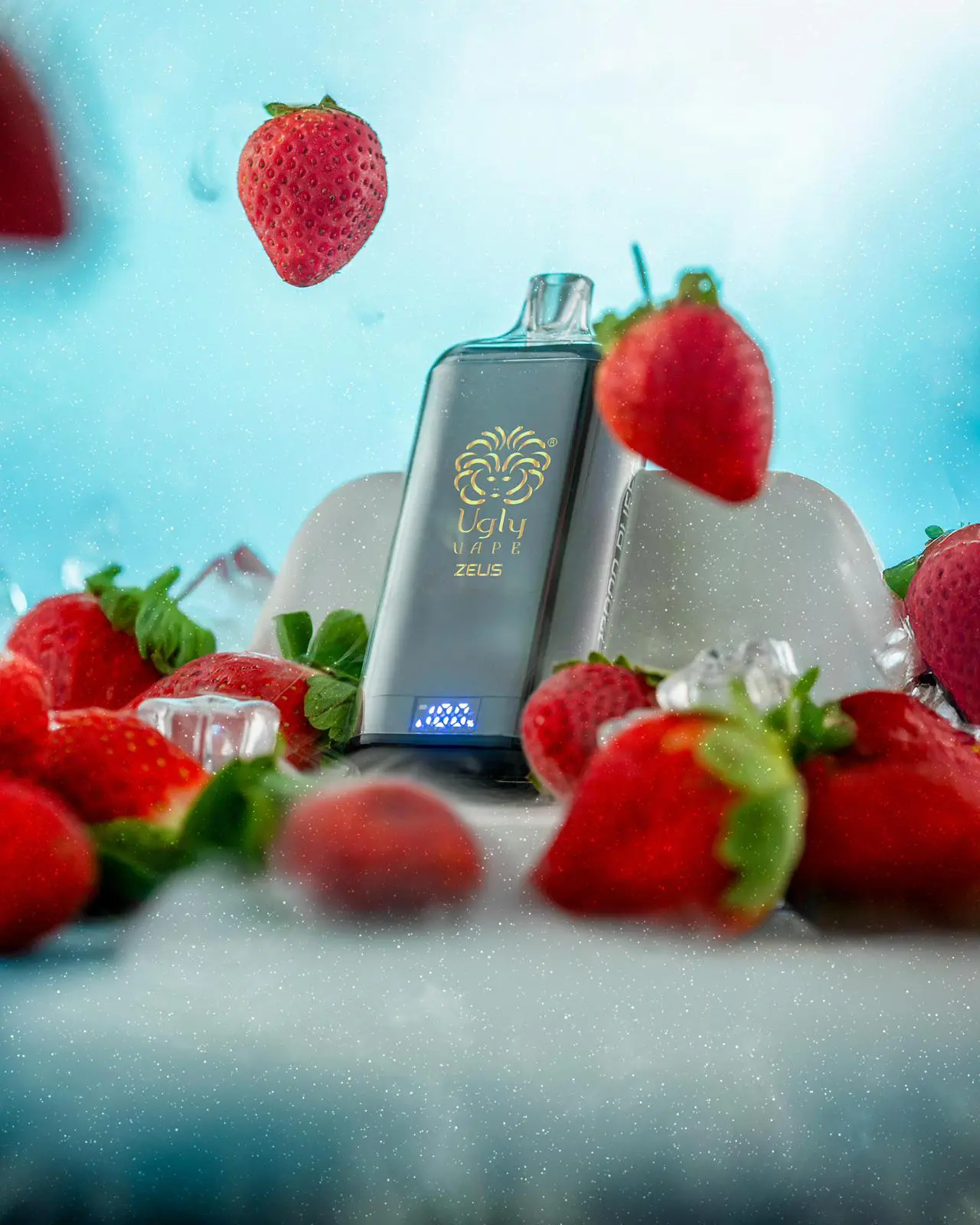 WhatsApp Image 2026-03-05 at 12.12.48 PM