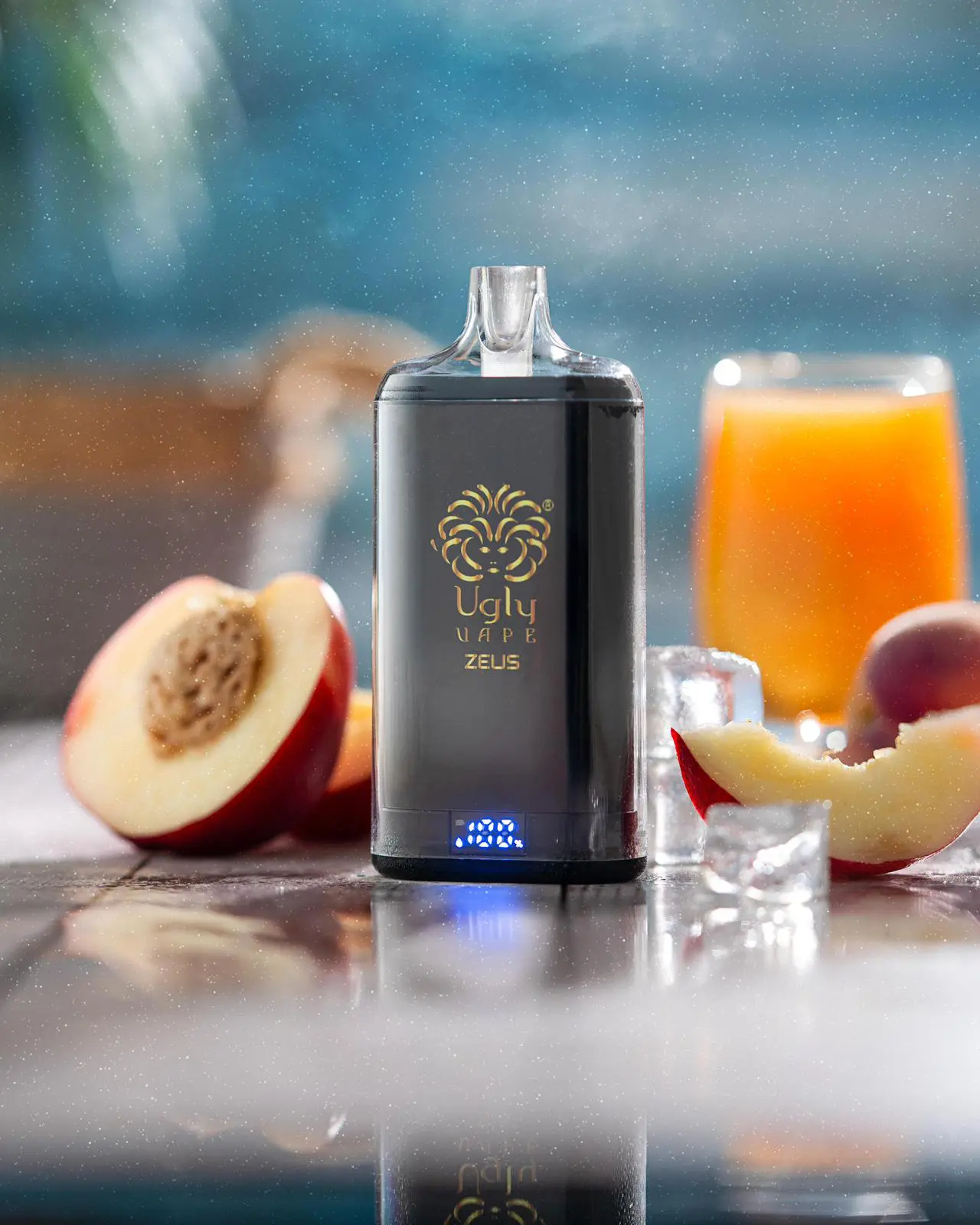 WhatsApp Image 2026-03-05 at 12.12.53 PM