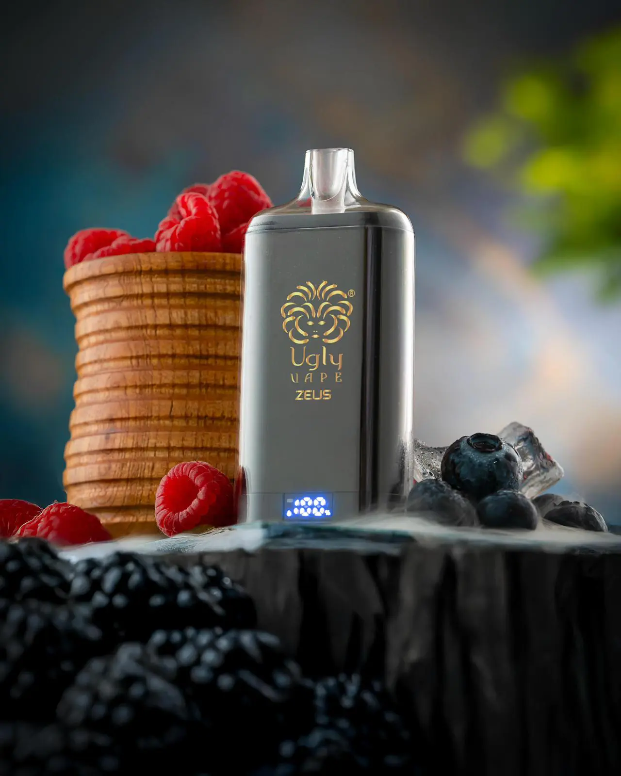 WhatsApp Image 2026-03-05 at 12.12.54 PM